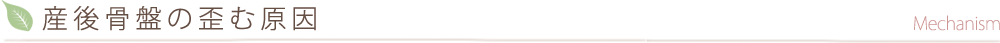産後骨盤の歪む原因