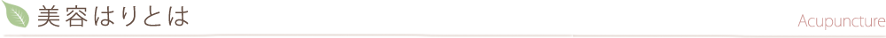 美容はりとは
